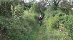 DSCF0990.JPG