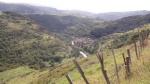 DSCF1017.JPG