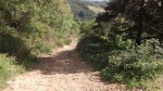 DSCF1111.JPG