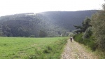 DSCF1130.JPG