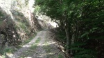 DSCF1132.JPG