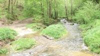 DSCF8903.JPG