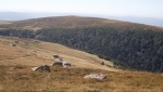 DSCF1627.JPG