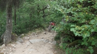 DSCF0155.jpg